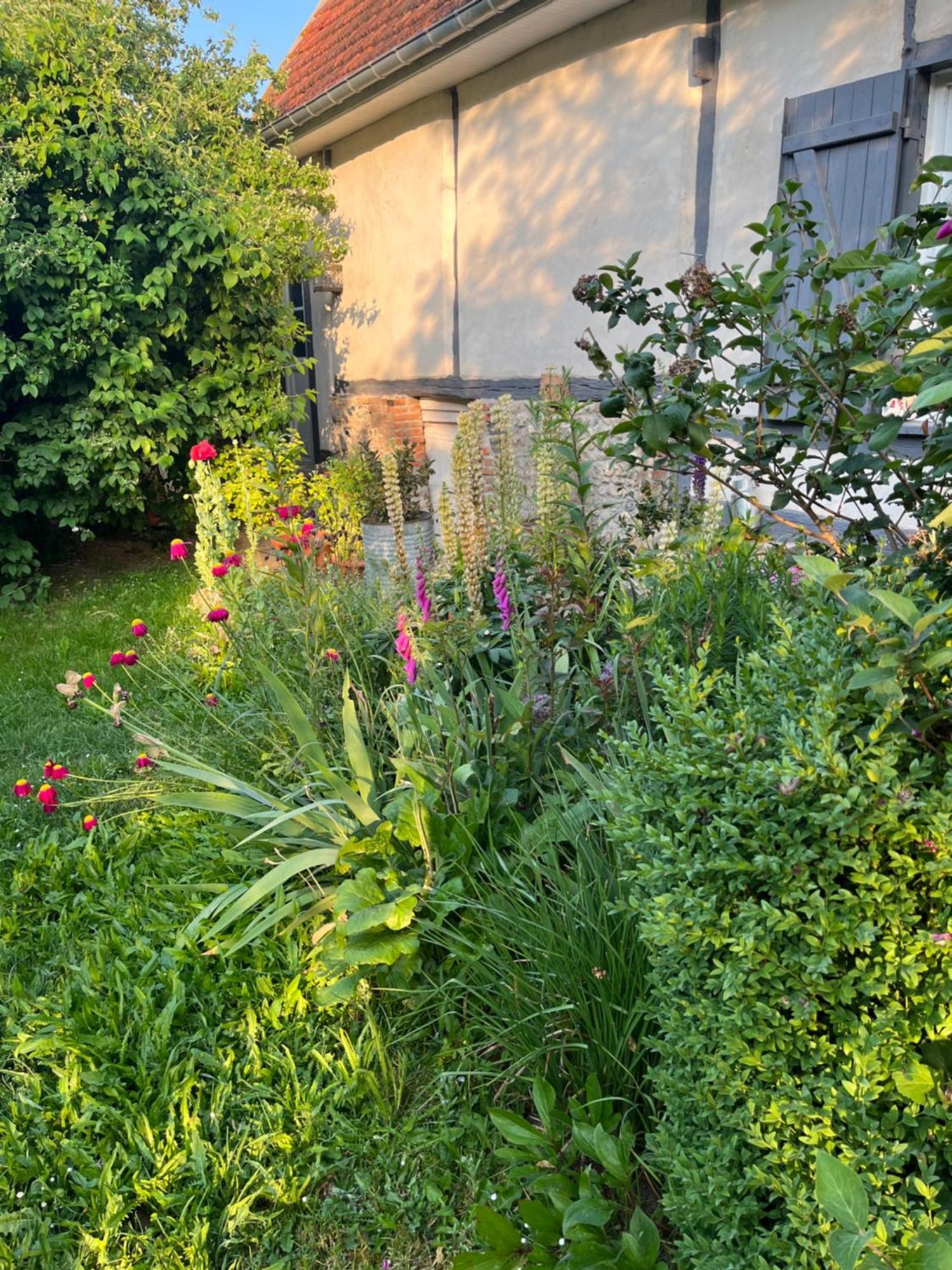 Chambre Cosy Bonnieres Exterior foto